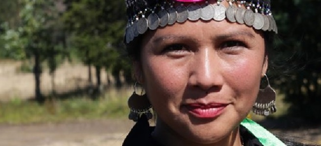 “Boric tem a oportunidade histórica de avançar e resolver problemas dos povos indígenas”, diz constituinte Mapuche