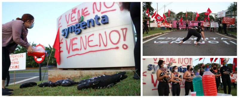 Mulheres Sem Terra protestam contra Pacote do Veneno em frente à fábrica da Syngenta; vídeo
