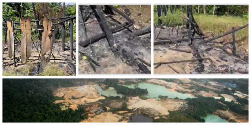 “Drama de aldeia yanomami incendiada não é isolado. O garimpo invade todo o território; nossas mulheres e crianças estão sendo violentadas”
