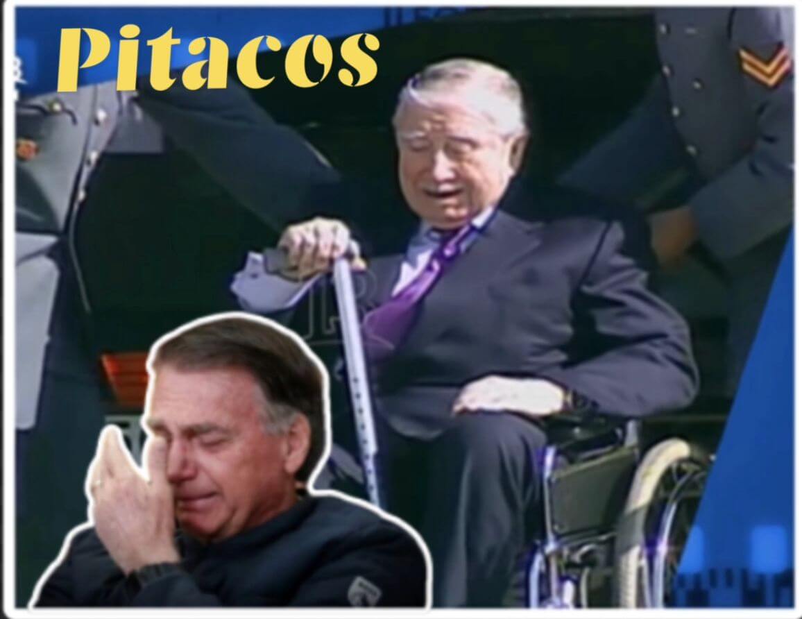 whatsapp-image-for-2025-11-25-as-10.2